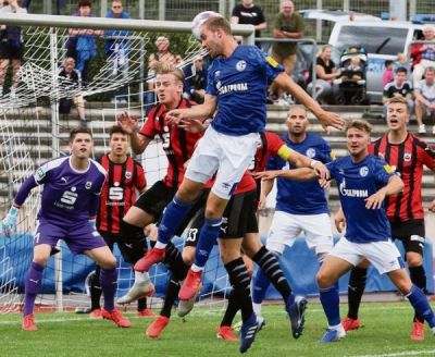 Steringer rettet Punkt gegen Schalke